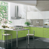 Modern Green Madison Kitchen Interior Design