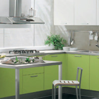 Modern Green Madison Kitchen Interior Design – FP