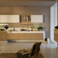 Sole Modern Kitchen Design