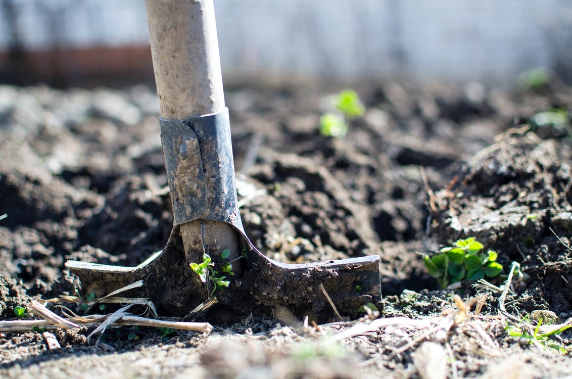 signs of soil compacting